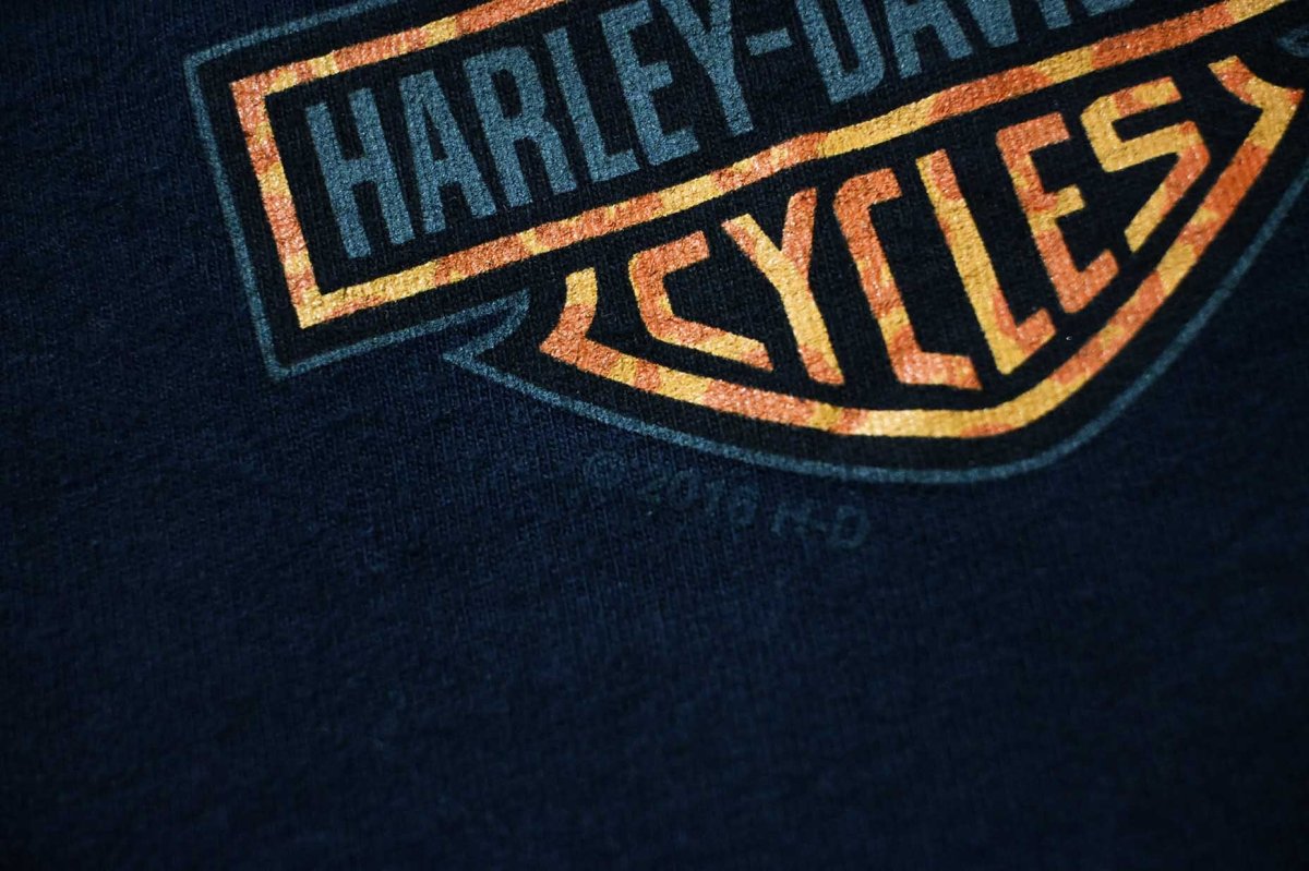 画像7: Used Harley-Davidson L/S Print Tee (7)