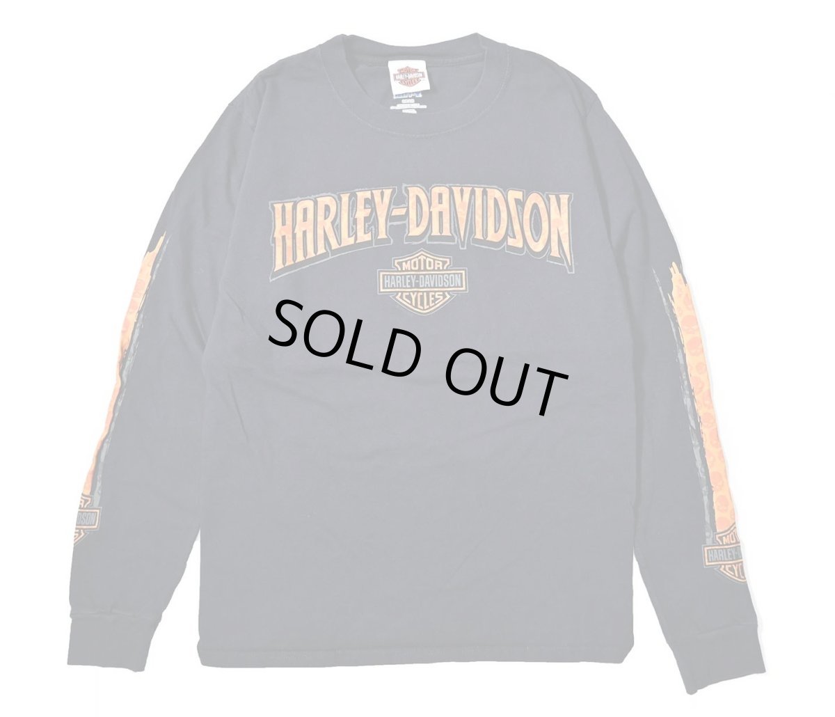 画像1: Used Harley-Davidson L/S Print Tee (1)