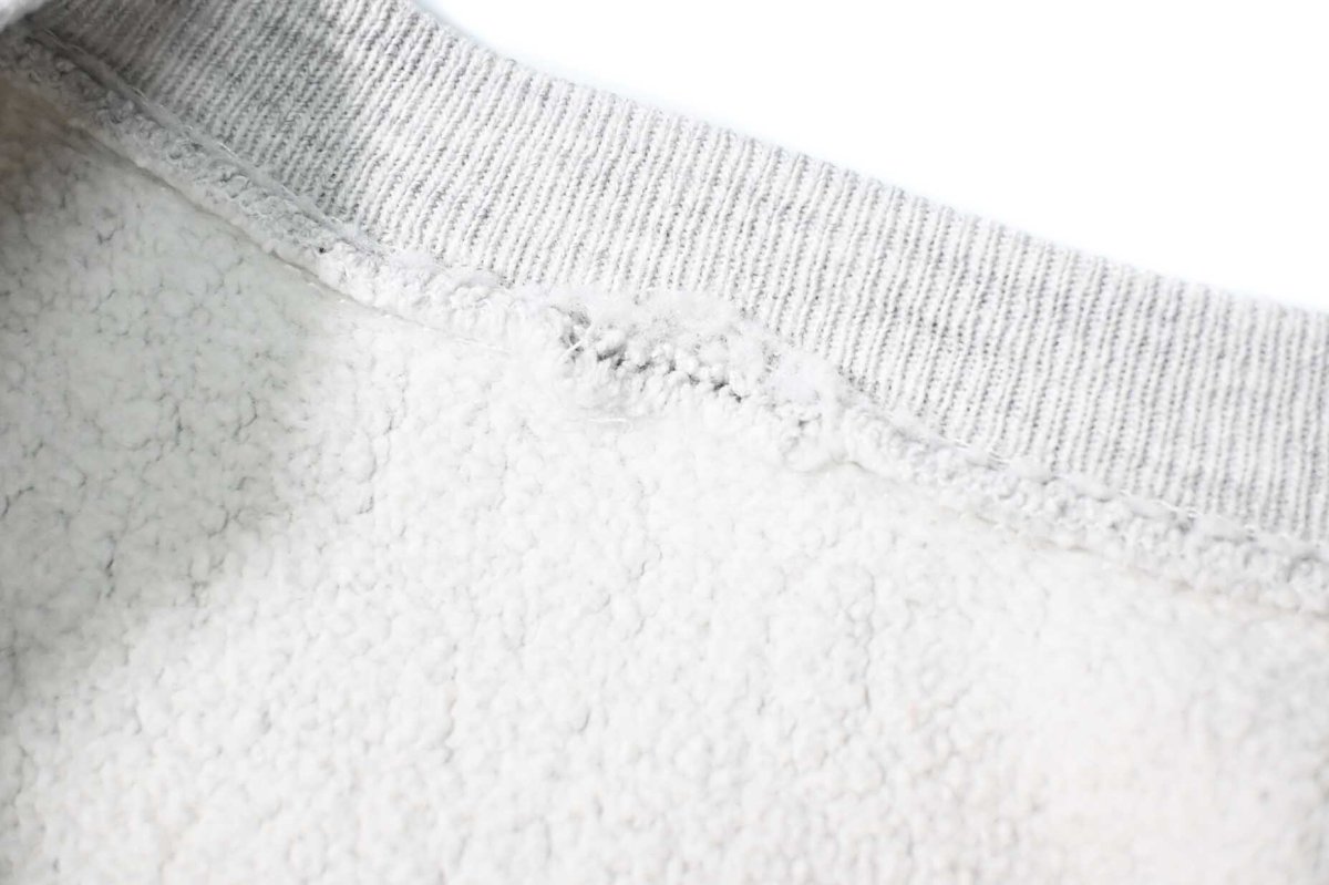 画像7: 90s Used Champion Reverse Weave Sweat Shirt Ash (7)