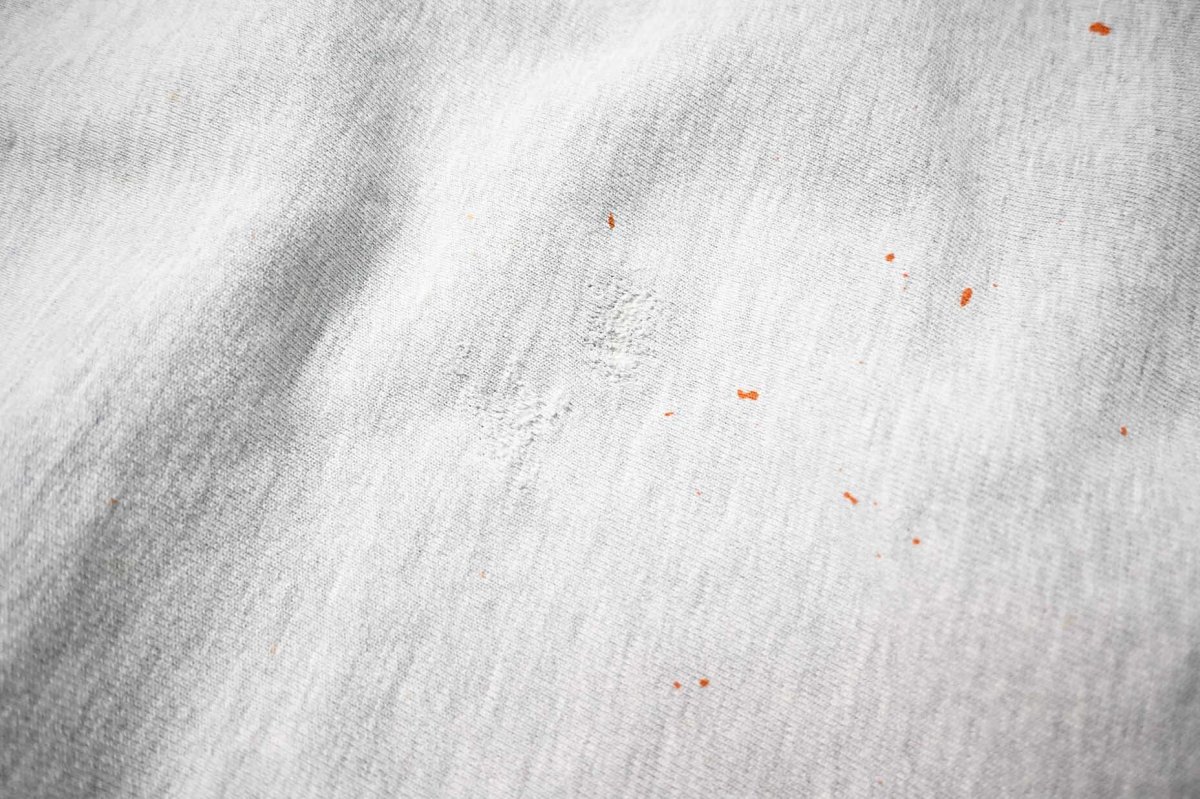 画像4: 90s Used Champion Reverse Weave Sweat Shirt Ash (4)