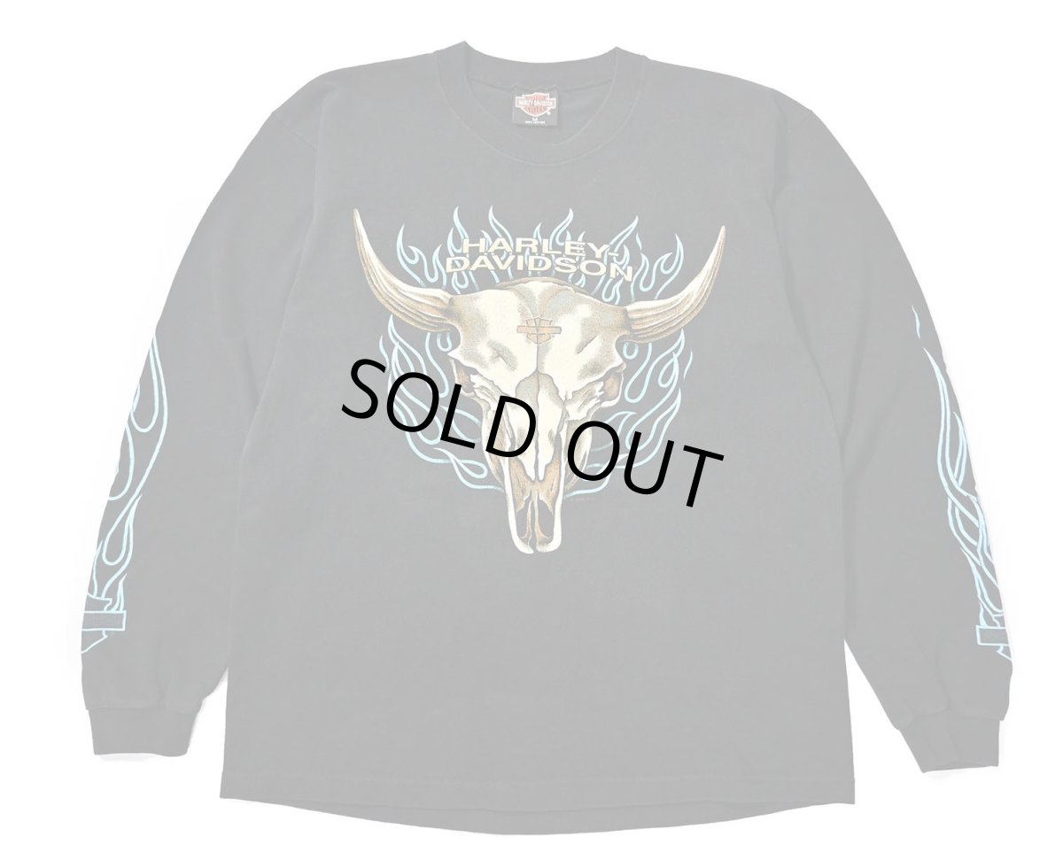 画像1: 90s Used Harley-Davidson L/S Print Tee made in USA (1)