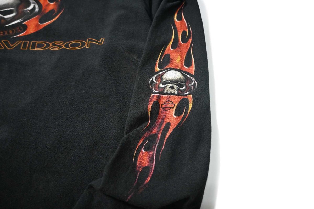 画像5: 00s Used Harley-Davidson L/S Print Tee made in USA (5)