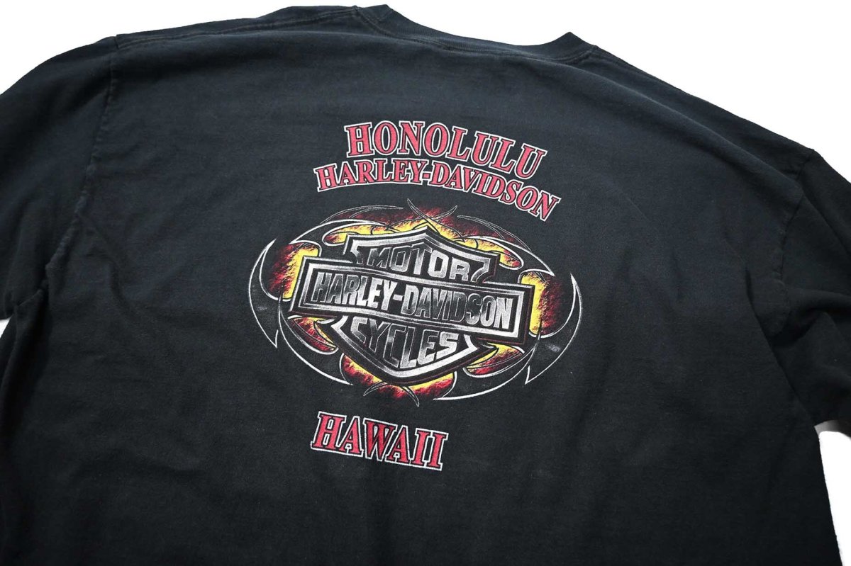 画像8: 00s Used Harley-Davidson L/S Print Tee (8)
