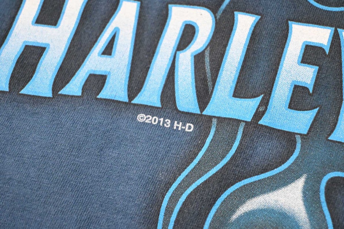 画像3: Used Harley-Davidson Print Tee (3)