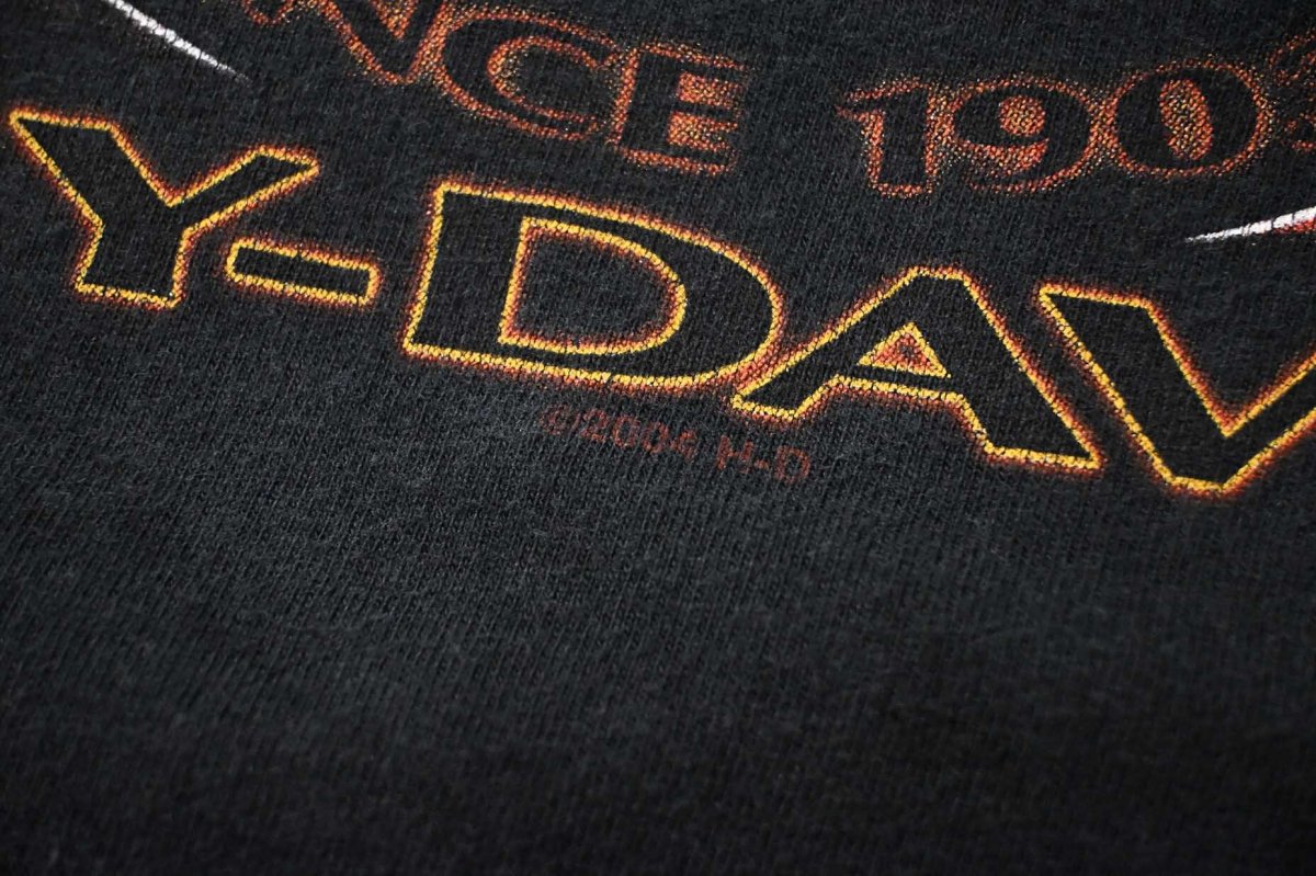 画像4: 00s Used Harley-Davidson L/S Print Tee made in USA (4)