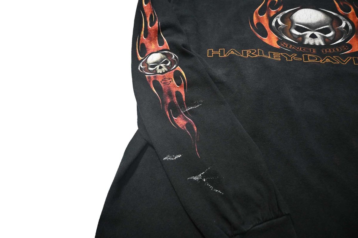 画像6: 00s Used Harley-Davidson L/S Print Tee made in USA (6)