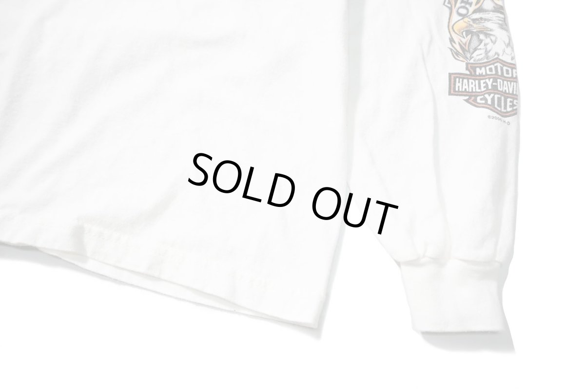 画像3: 00s Used Harley-Davidson L/S Print Tee made in USA (3)