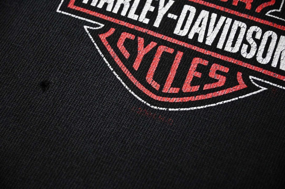 画像4: 00s Used Harley-Davidson L/S Print Tee (4)