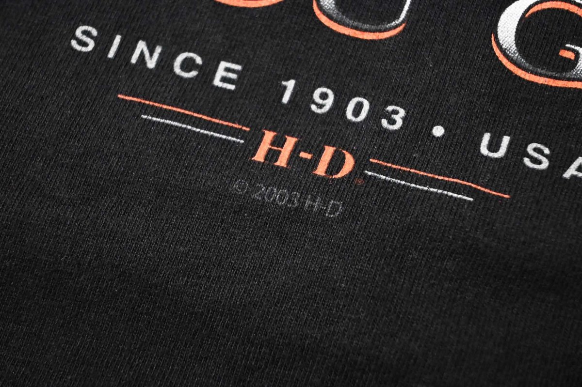 画像3: 00s Used Harley-Davidson Print Tee made in USA (3)