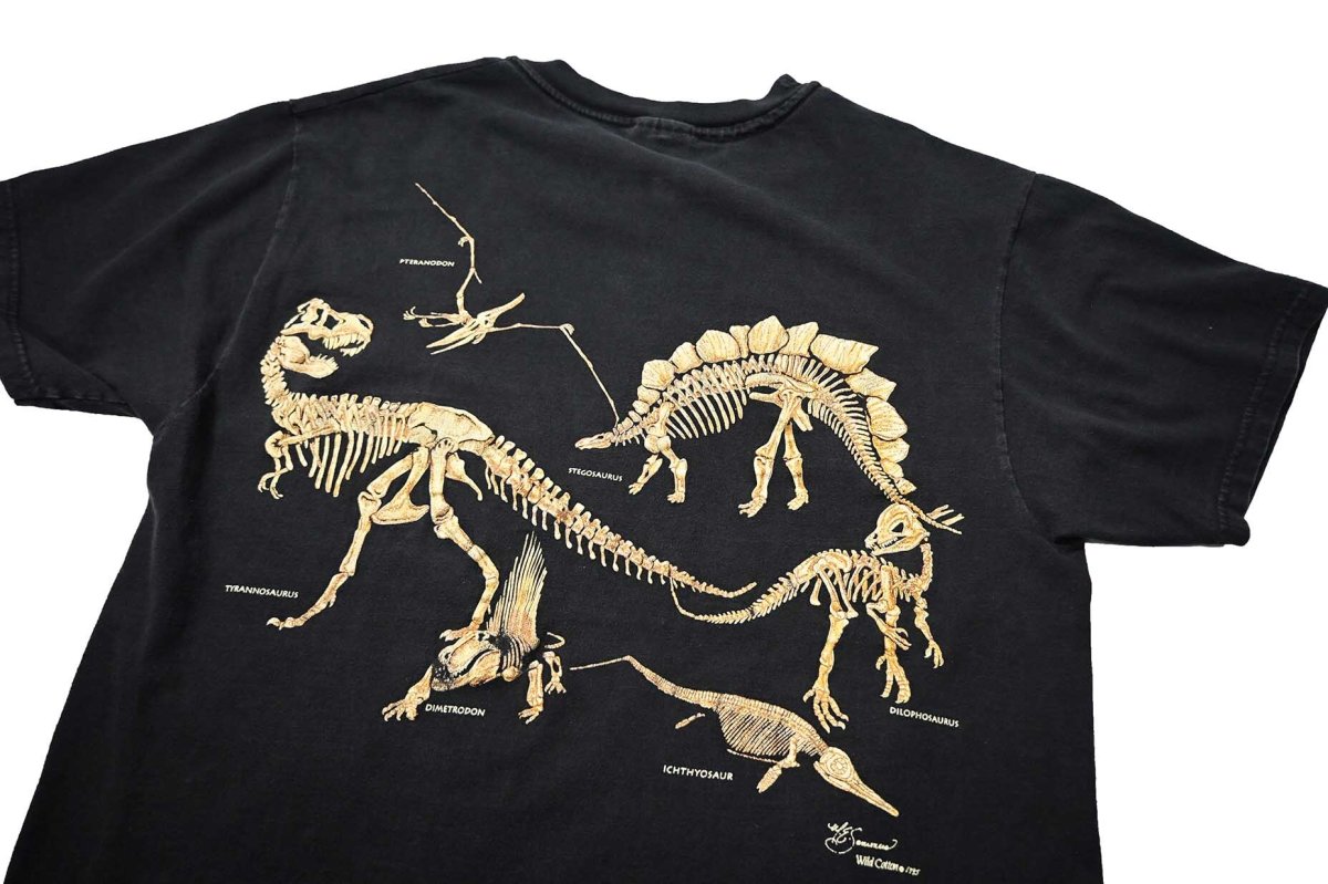 画像4: 90s Used Dinosaur State Park Print Tee made in USA (4)