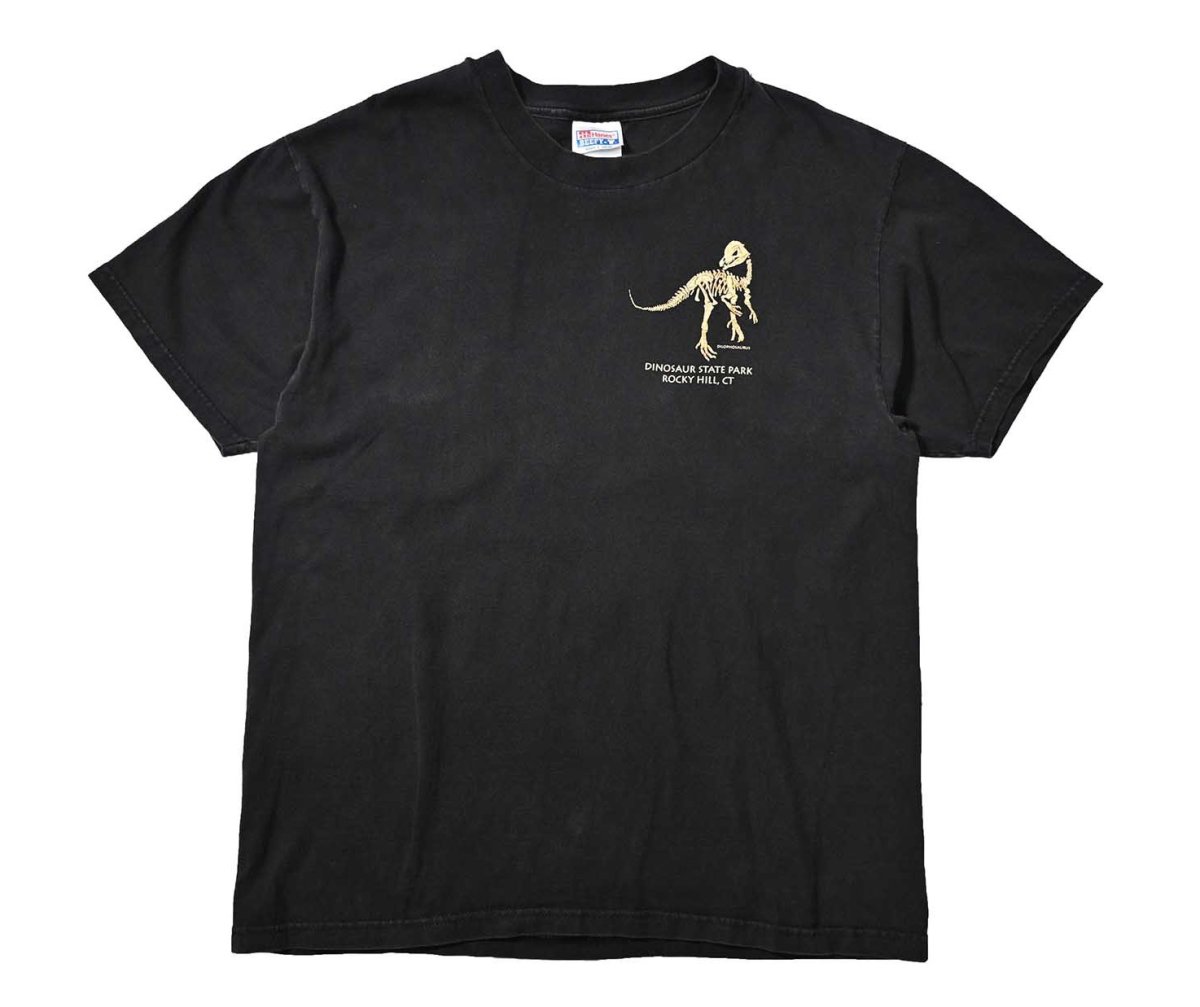 画像1: 90s Used Dinosaur State Park Print Tee made in USA (1)