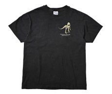 画像1: 90s Used Dinosaur State Park Print Tee made in USA (1)