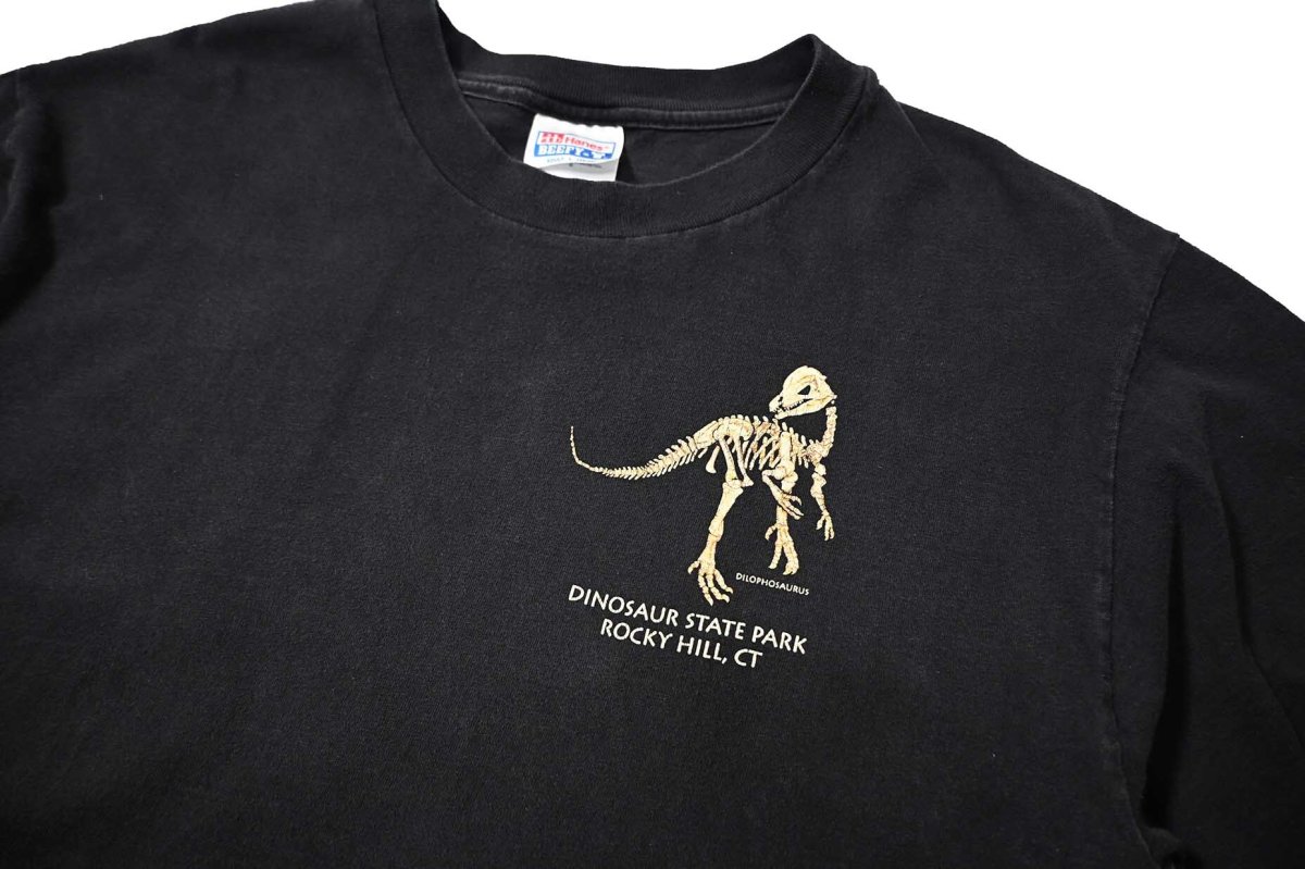 画像2: 90s Used Dinosaur State Park Print Tee made in USA (2)
