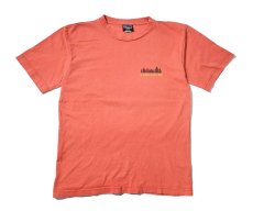画像1: 90s Used patagonia Fitz Roy Wild Responsibili-Tee made in USA パタゴニア (1)