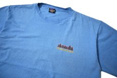 画像2: 90s Used patagonia Fitz Roy Wild Responsibili-Tee made in USA パタゴニア (2)