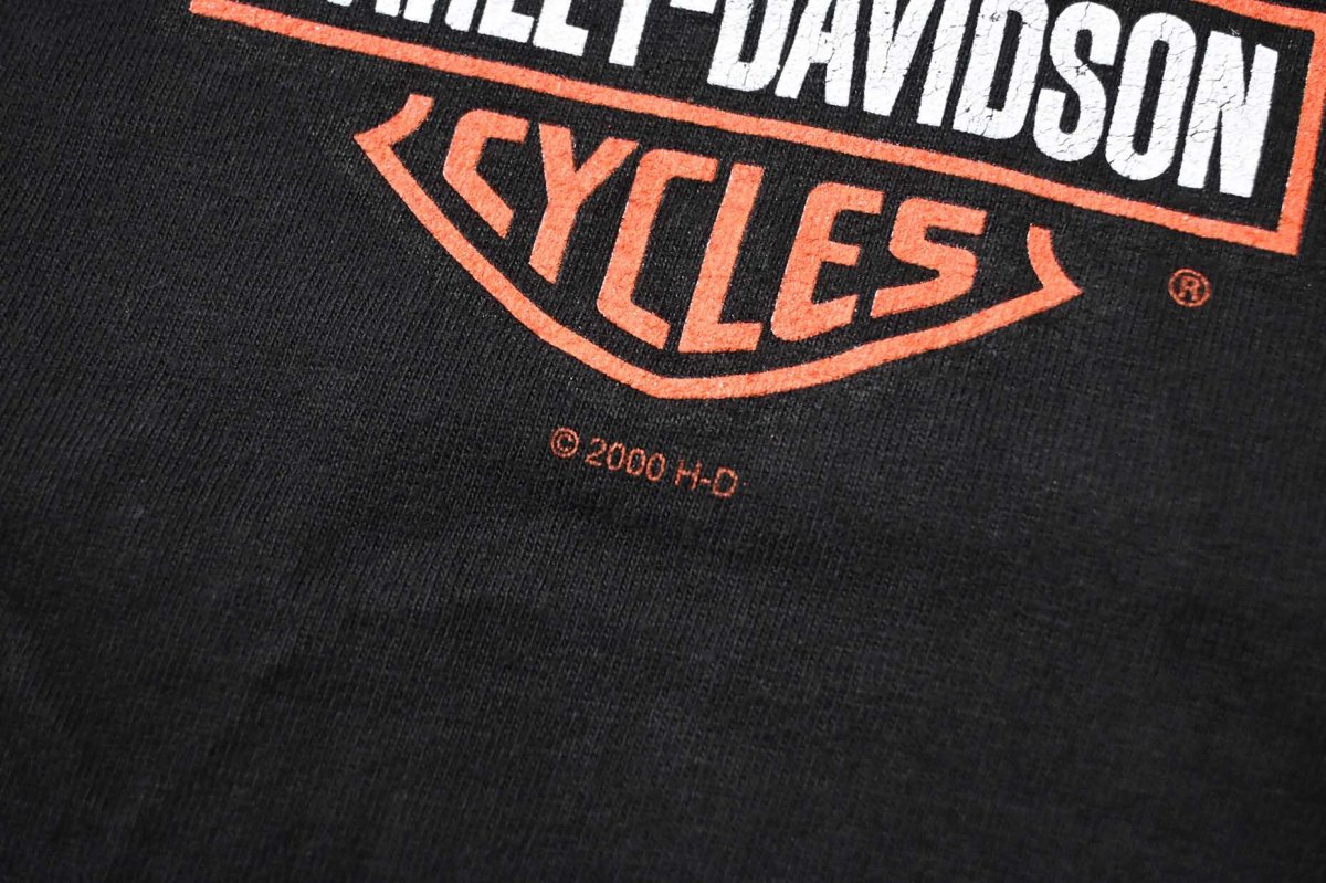 画像3: 00s Used Harley-Davidson Print Tee made in USA (3)