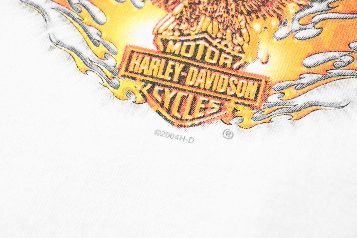 画像5: 00s Used Harley-Davidson L/S Print Tee made in USA (5)