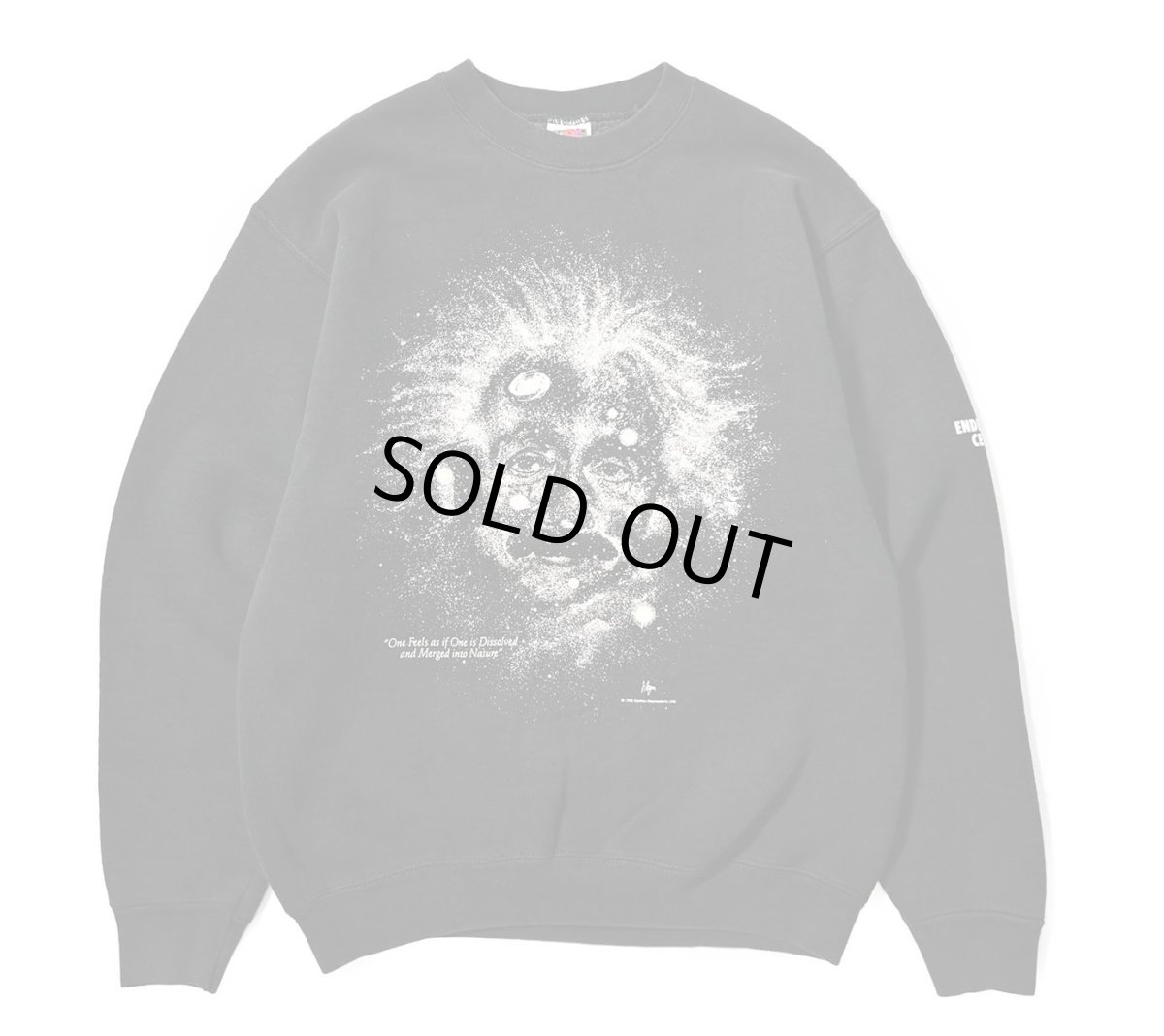 画像1: 90s Used Cotton Expressions Albert Einstein Print Sweat Shirt (1)